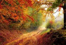 Ile trwa rok szkolny we Włoszech? Ile trwa rok szkolny we Włoszech?