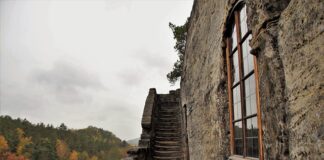 Czy w Czechach jest biedronka?