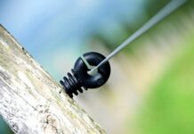 Jak mówią na Polaków za granicą? Jak mówią na Polaków za granicą?