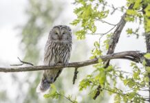 Gdzie można mieć jedno dziecko?