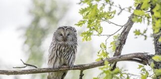 Gdzie można mieć jedno dziecko?