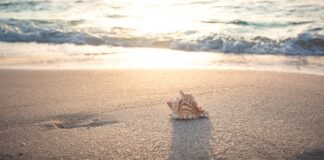 Jak Włosi mają wakacje?