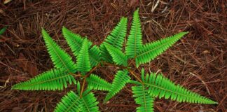 Które narody Najwięcej piją?