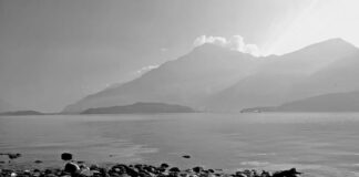 Ile kosztuje wynajem mieszkania w Czechach?