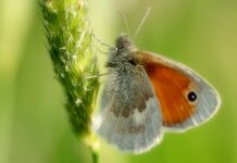 W jakim wieku najczęściej umierają mężczyźni?