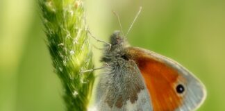 W jakim wieku najczęściej umierają mężczyźni?