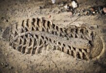 Po co Odcisk palca w dowodzie osobistym?