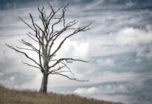 Ile lat przeciętnie żyje człowiek? Ile lat przeciętnie żyje człowiek?