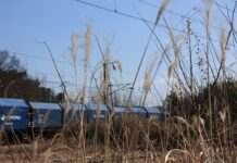 Jak jeździć autem we Włoszech?