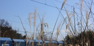 Jak jeździć autem we Włoszech?