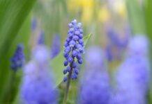 Co wyróżnia Włochy? Co wyróżnia Włochy?