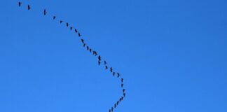 Kiedy najlepiej lecieć do Włoch?