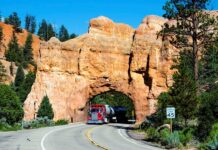 Co grozi za wjazd do Czech bez dowodu osobistego?