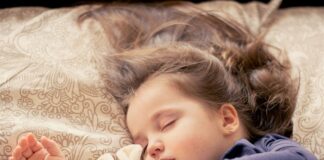 Czy w Polsce można spać w lesie?