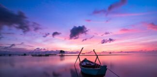 Czy picie piwa z puszki jest szkodliwe?