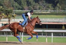 Jak oszukać odciski palców na policji?