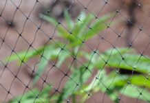 Gdzie w Polsce jest prohibicja?