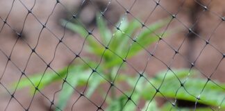 Gdzie w Polsce jest prohibicja?