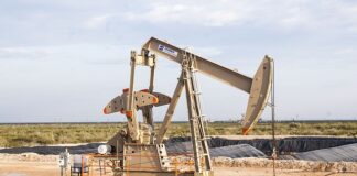 Ile kosztuje ropa w Danii?