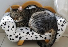 Czy Włosi mają sieste?