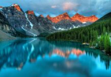 Jaki typ urody dominuje w Polsce? Jaki typ urody dominuje w Polsce?