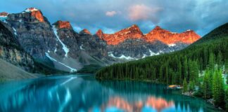 Jaki typ urody dominuje w Polsce?