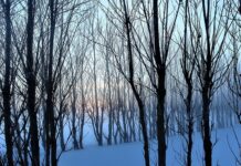 Jakie jest najbardziej zaludnione miasto na świecie?