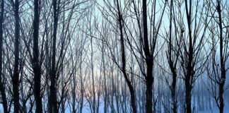 Jakie jest najbardziej zaludnione miasto na świecie?