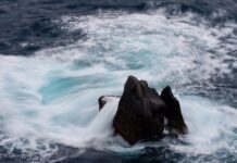 Jakie są ceny w Czechach? Jakie są ceny w Czechach?