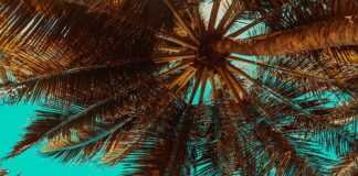 Ile stopni jest w lato we Włoszech?