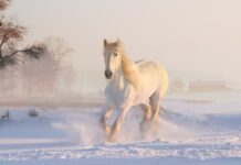 Jakie światła przy opadach?